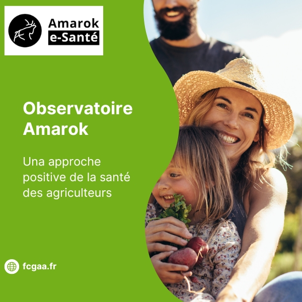 NOUVEAU Amarok santé dirigeant